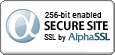 Wildcard SSL Certificates